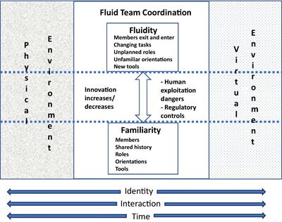 Fluid teams in the metaverse: exploring the (un)familiar